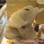 Thiềm Thừ Tây Tạng hàng khủng, linh vật Phong Thủy số 2, rất linh nghiệm