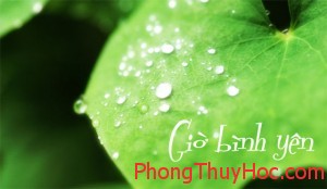 14 tình huống cần xem phong thủy 14 tình huống cần xem phong thủy