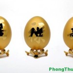 Áp dụng thuật phong thủy cho nơi làm việc của doanh nhân