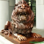 Thương nhân châu Á ứng dụng phong thủy để làm giàu